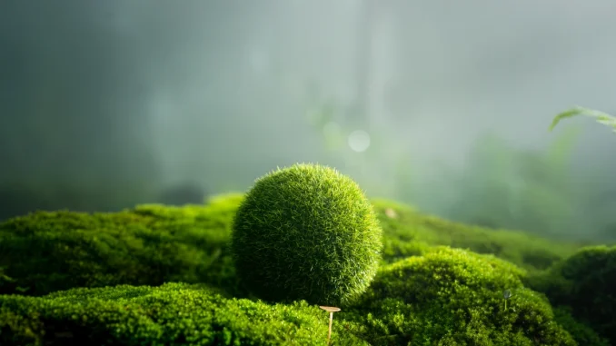 le-droit-a-un-enviro