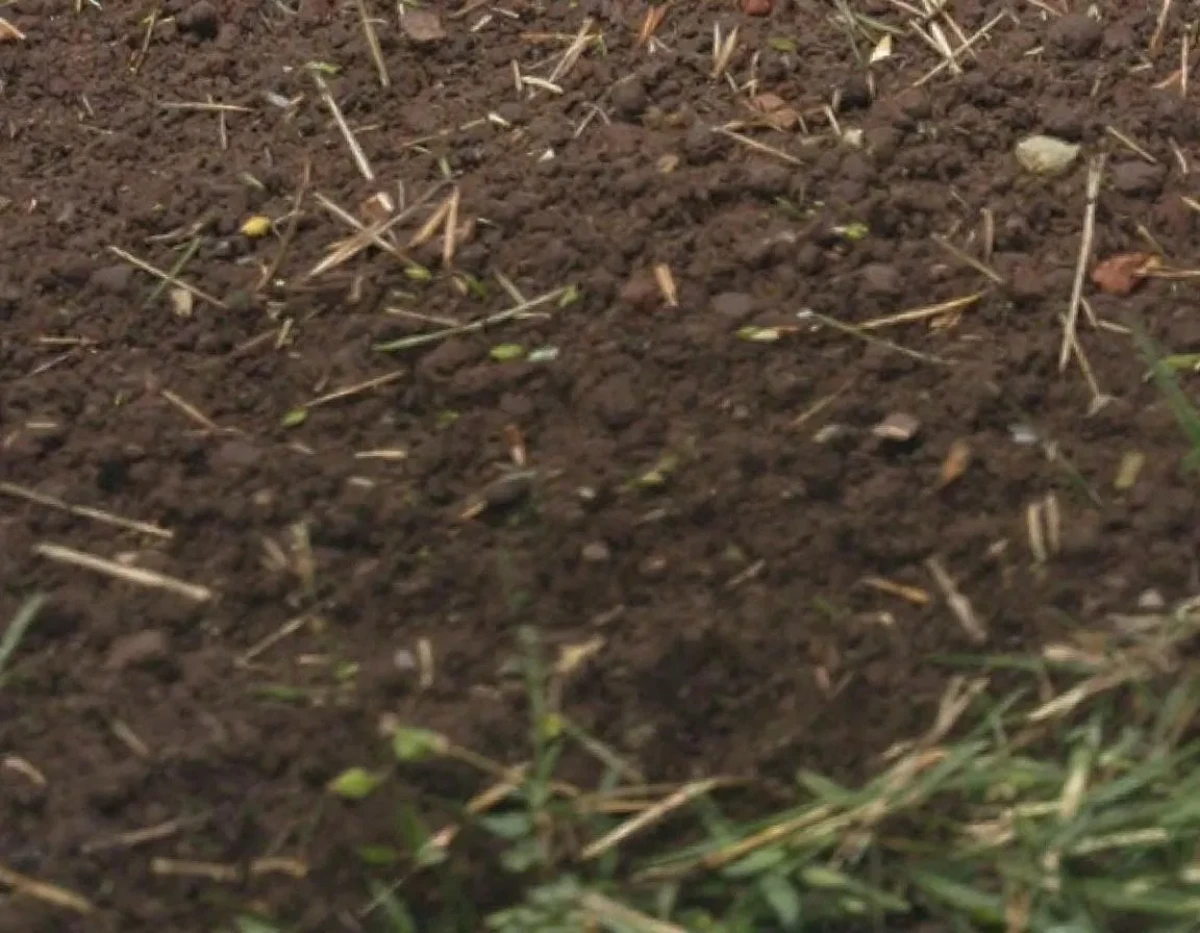 Le Défi Juridique des Pertes Agricoles Face aux Catastrophes Climatiques