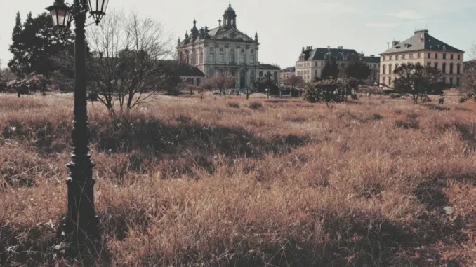 levolution-de-linter