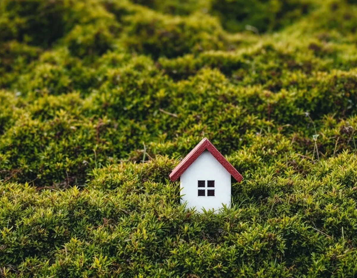 Litiges Immobiliers : Se Préparer à la Procédure